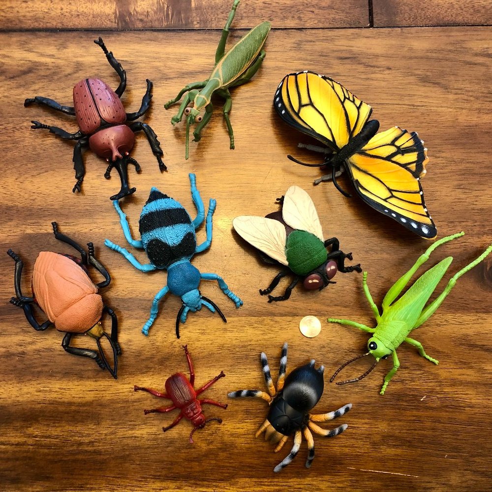 Giant Bugs & Insects